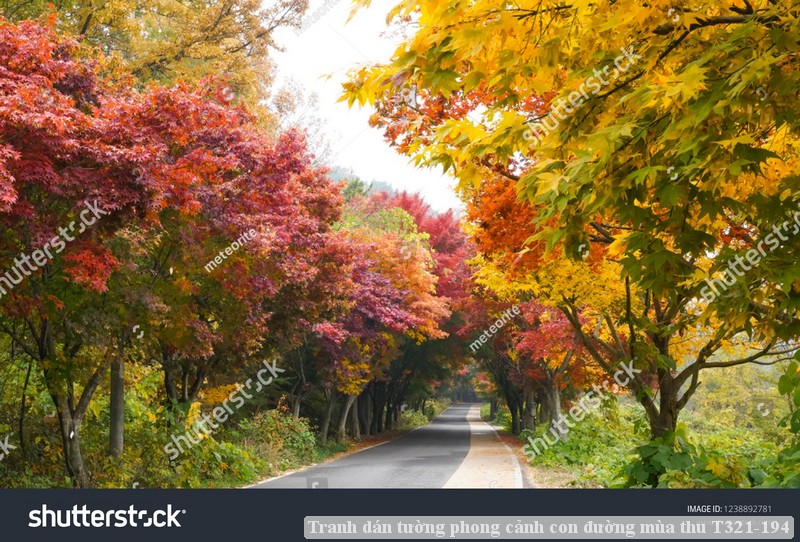 Tranh dán tường phong cảnh con đường mùa thu T321-194